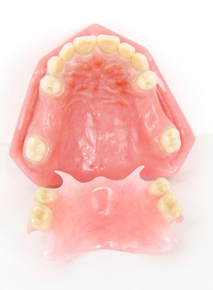 teeth